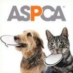ASPCA Poisonous Plants