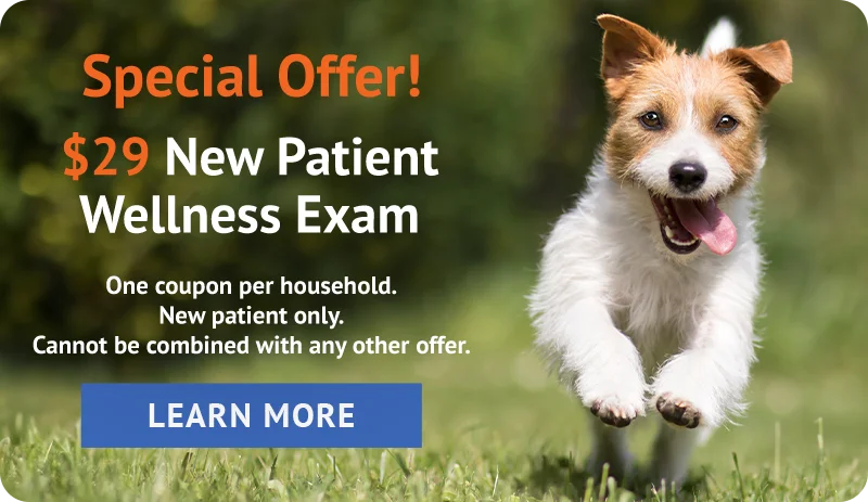 Special Offer! $29 New Patient Wellness Exam