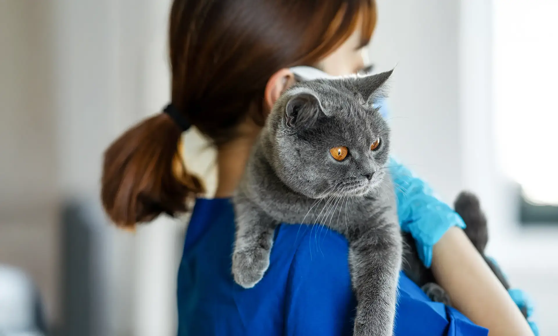 Low-Cost Vaccine Clinic