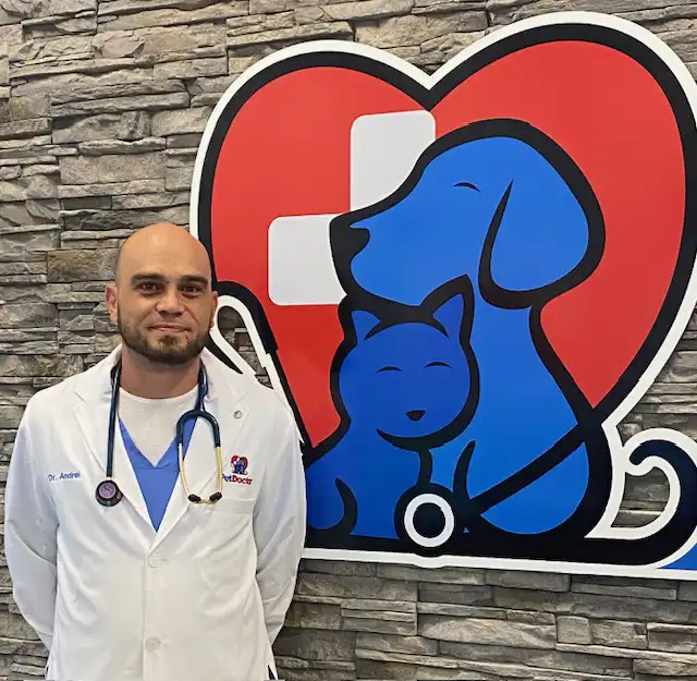 Dr. Hodadea